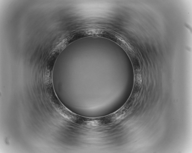 X0000095550411200712281610