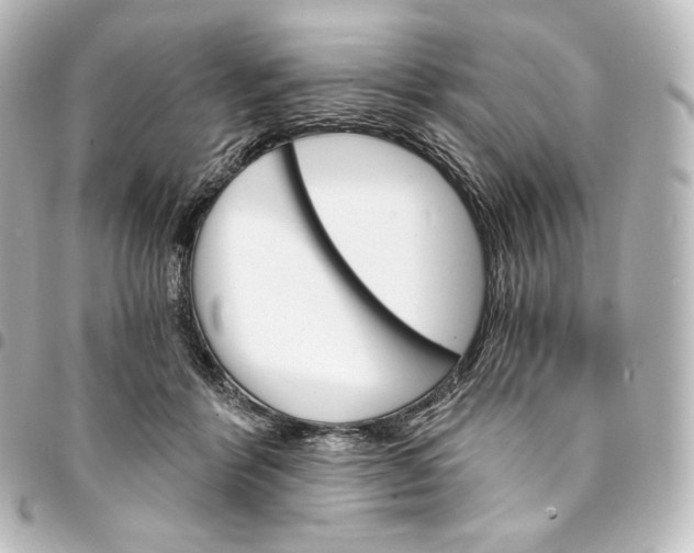 X0000095550412200712281610