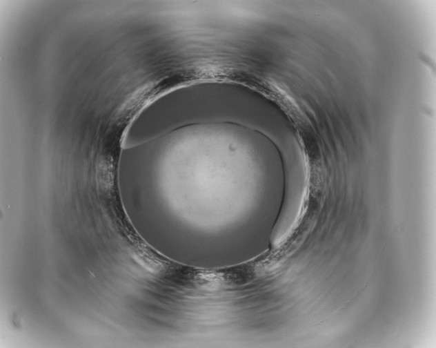 X0000095550413200712281610