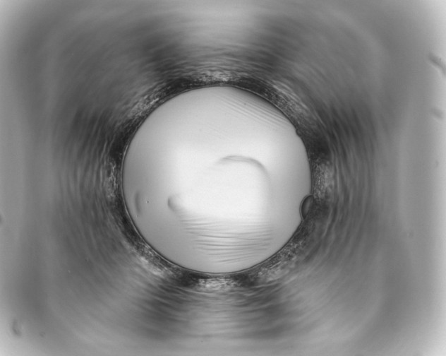 X0000095550414200712281610