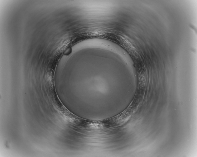 X0000095550415200712281610