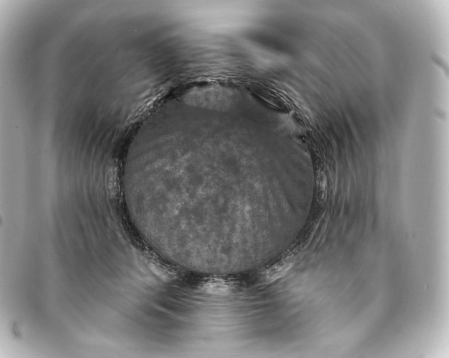 X0000095550416200712281610