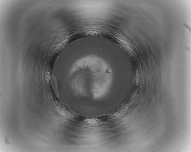 X0000095550417200712281610