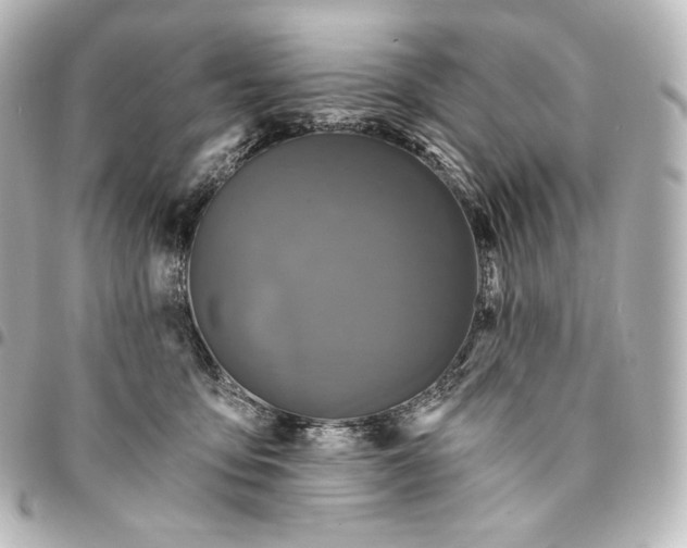 X0000095550419200712281610