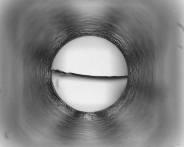 X0000095550420200712281610