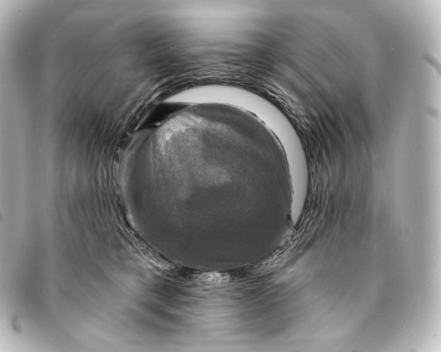 X0000095550421200712281610