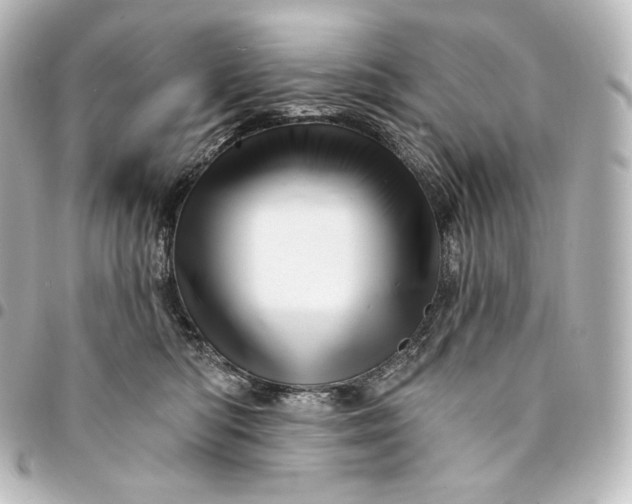 X0000095550422200712281610