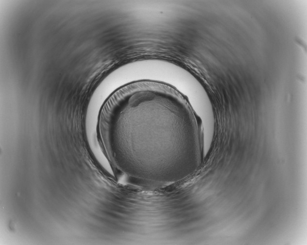 X0000095550423200712281610