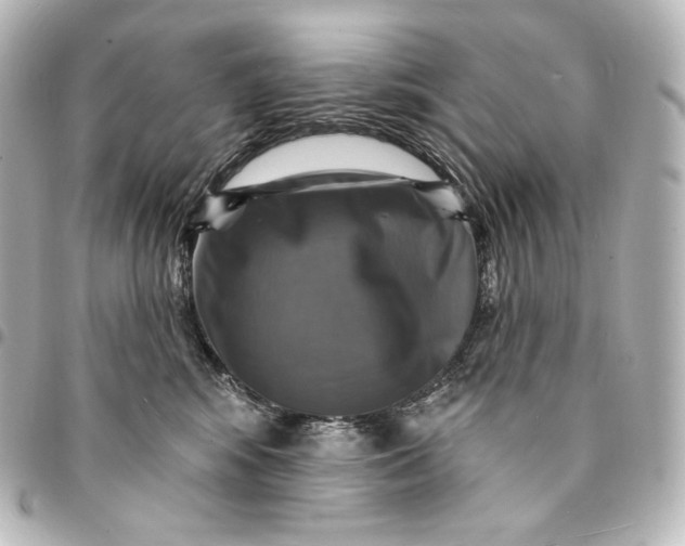 X0000095550424200712281610