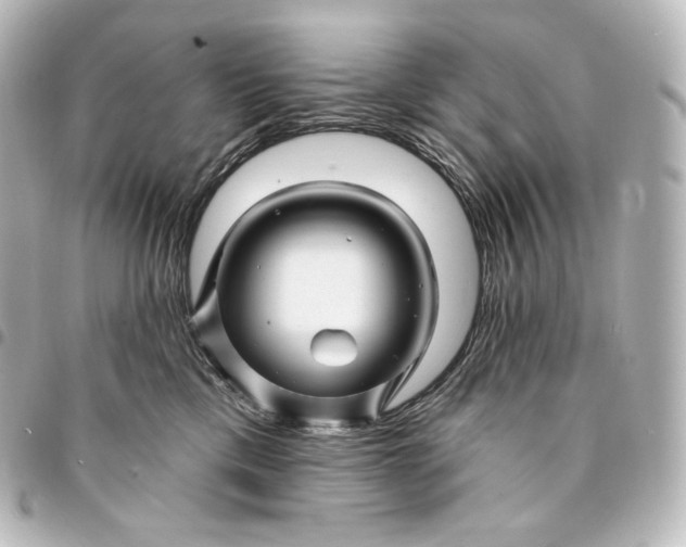 X0000095550425200712281610