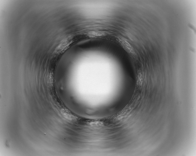 X0000095550426200712281610