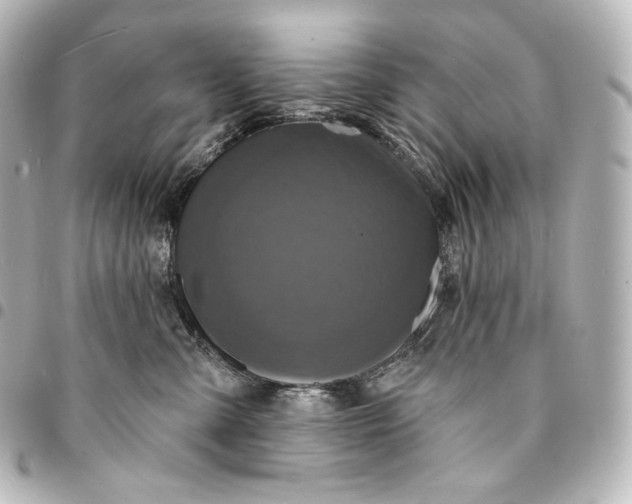 X0000095550427200712281610