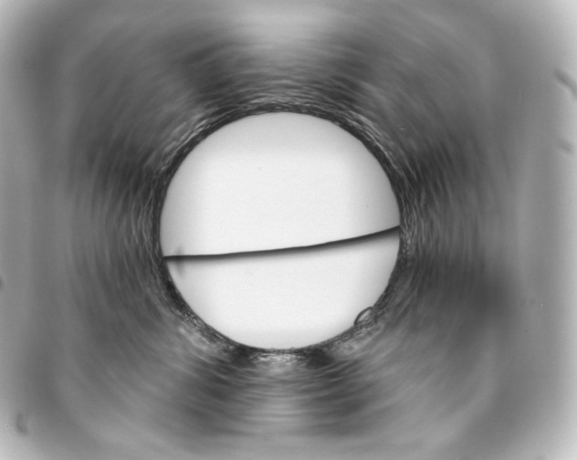 X0000095550428200712281610