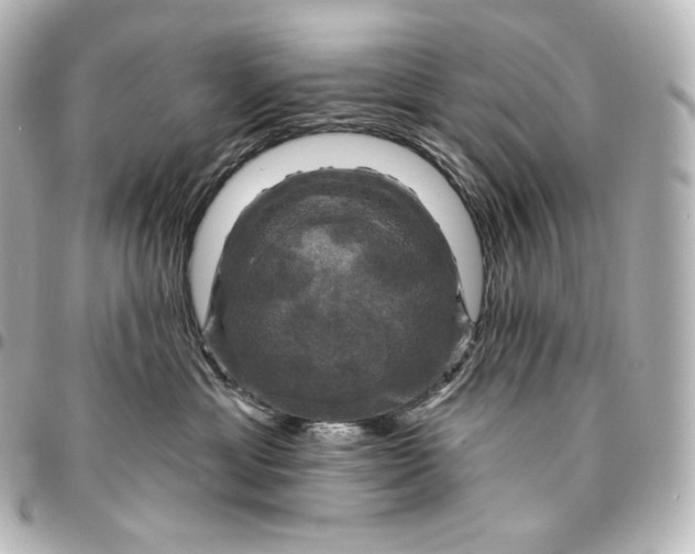 X0000095550429200712281610