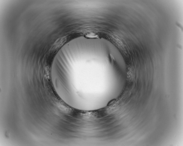 X0000095550430200712281610