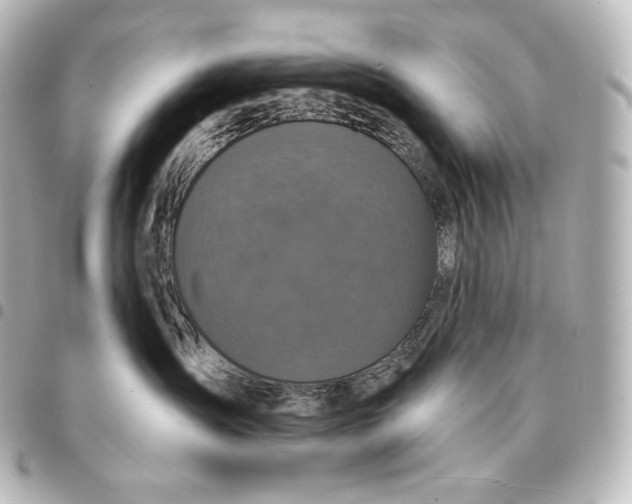 X0000095550431200712281610