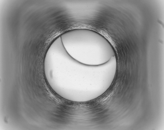 X0000095550433200712281609