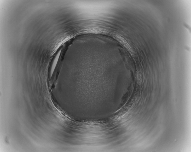 X0000095550434200712281609