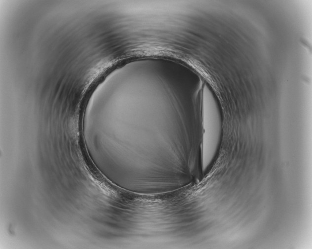 X0000095550438200712281609