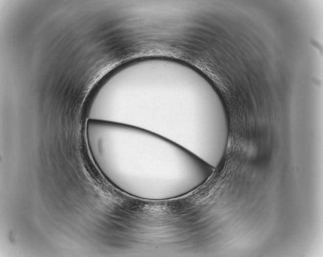 X0000095550440200712281609