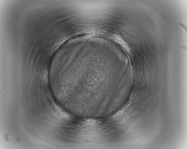 X0000095550441200712281609