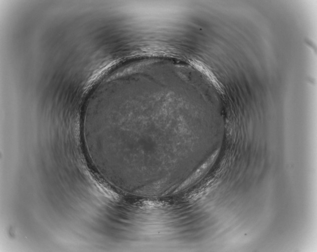 X0000095550442200712281609