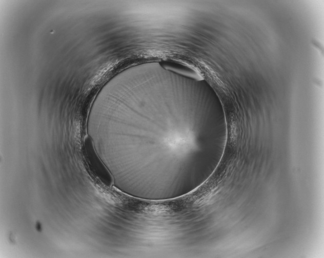 X0000095550444200712281609