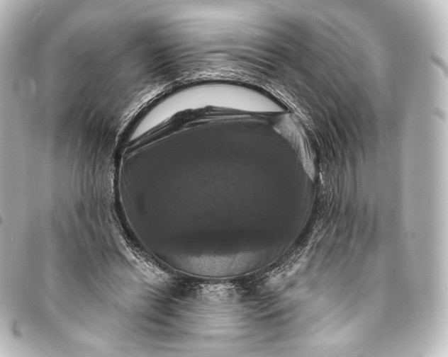 X0000095550446200712281609