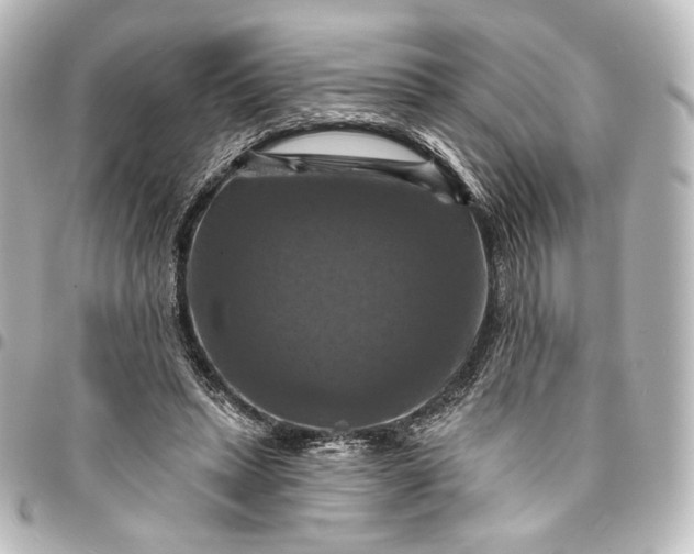 X0000095550447200712281609