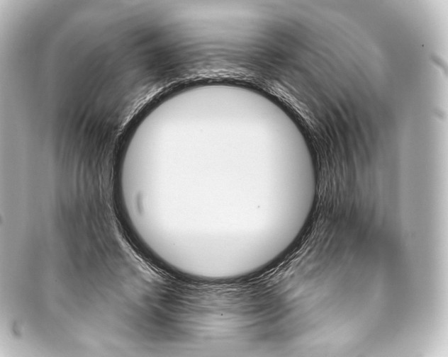 X0000095550448200712281609