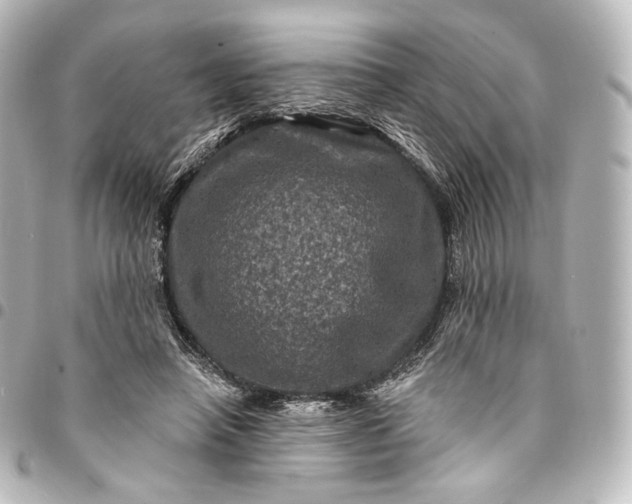 X0000095550450200712281610