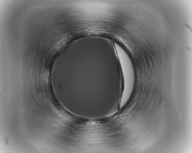 X0000095550451200712281610