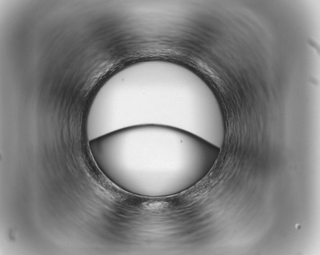 X0000095550452200712281610