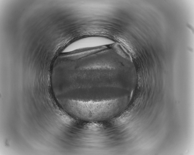 X0000095550453200712281610