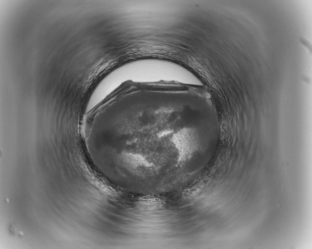 X0000095550454200712281610