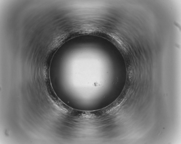 X0000095550455200712281610