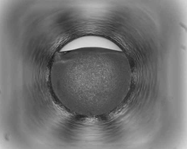 X0000095550458200712281610