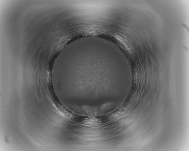 X0000095550459200712281610