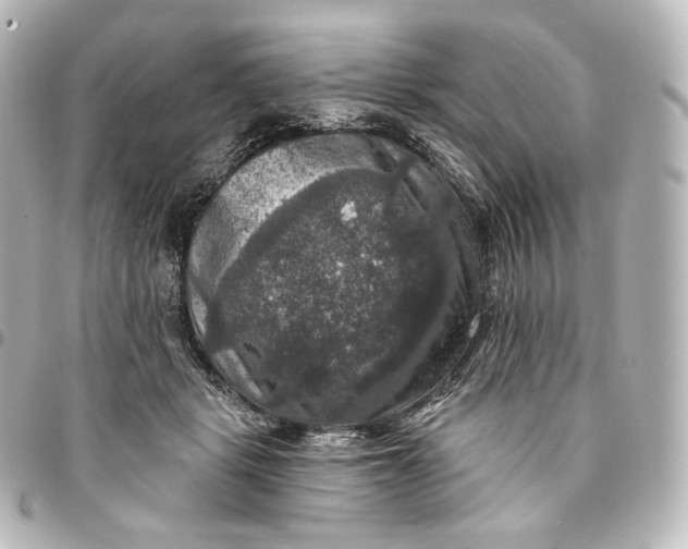 X0000095550461200712281610