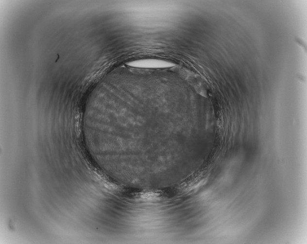 X0000095550462200712281610