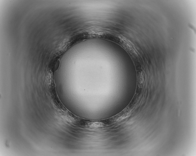 X0000095550463200712281610