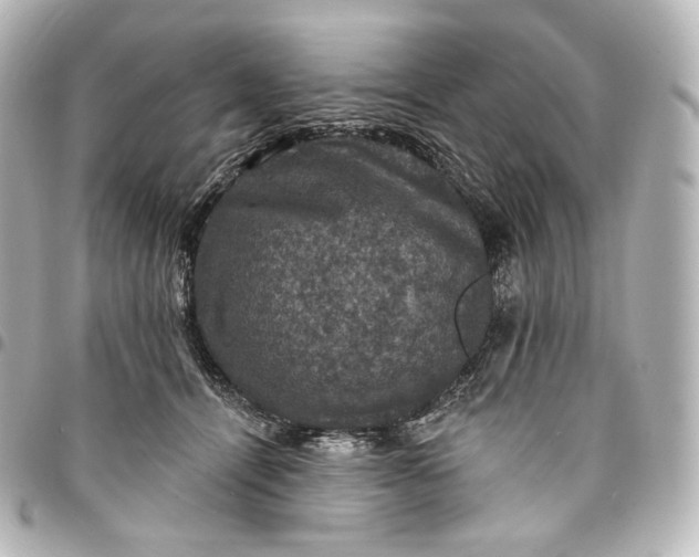 X0000095550464200712281610