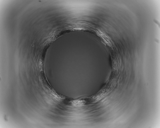 X0000095550465200712281610