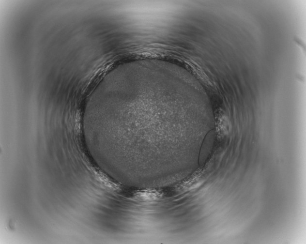 X0000095550466200712281610