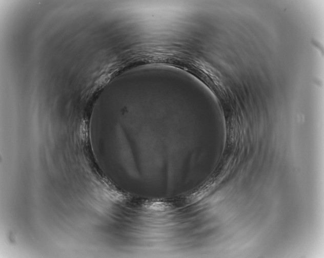 X0000095550467200712281610