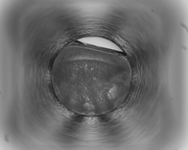 X0000095550469200712281610