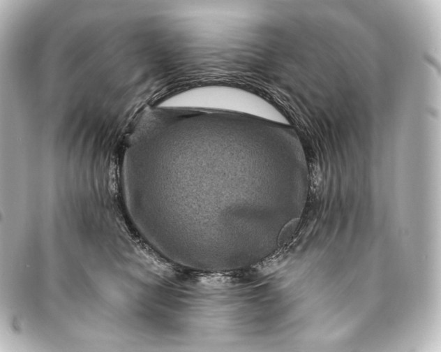 X0000095550470200712281610