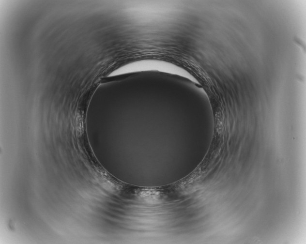 X0000095550471200712281610