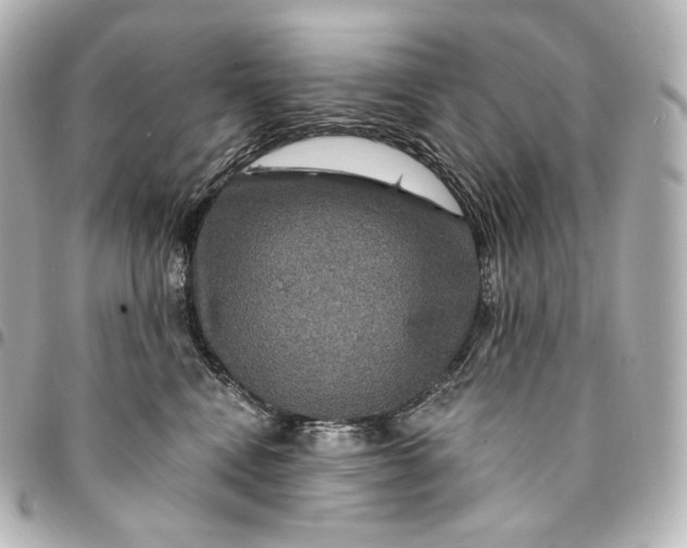 X0000095550472200712281610