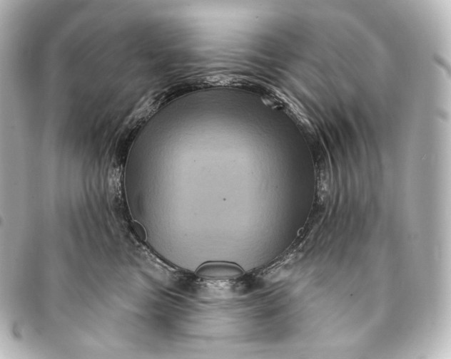 X0000095550473200712281610